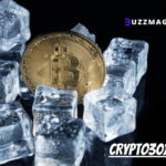 Crypto30x.com Ice